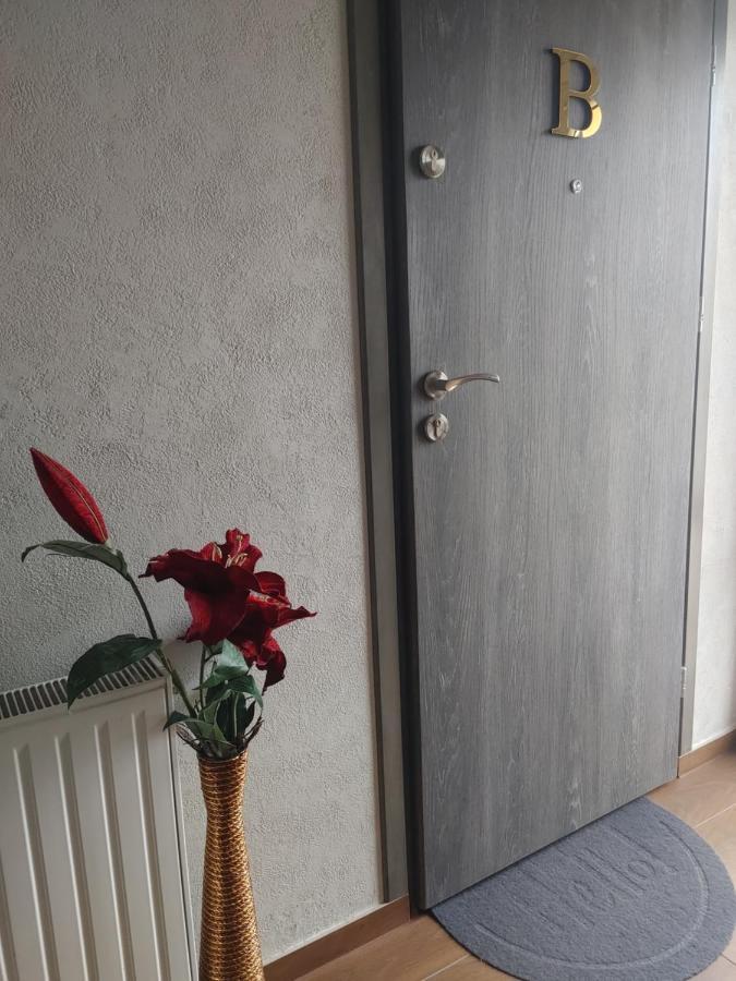 Apartamenty U Zofii Iława Buitenkant foto